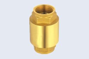 Quality Heavy Brass Valve 1.6Mpa Spring Non Return Valve wholesale