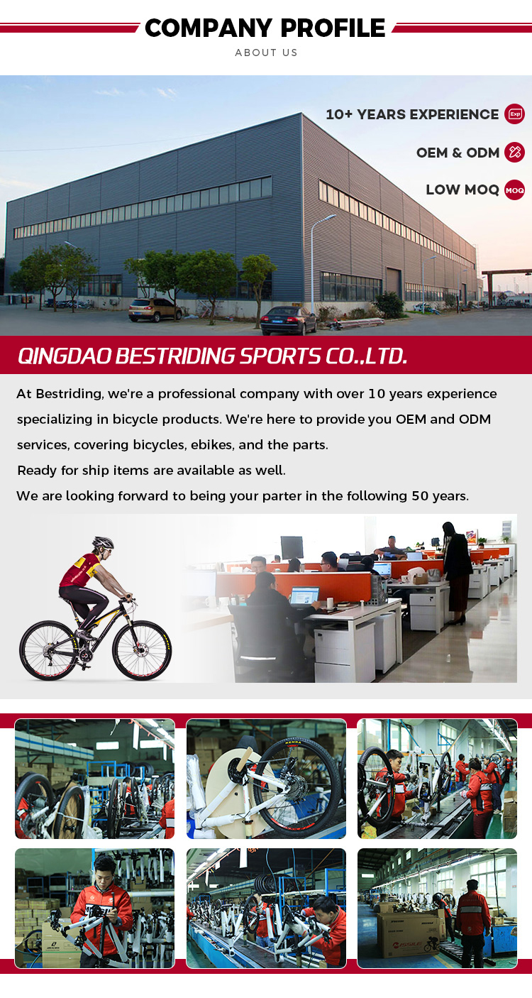 Electric Bicycle With Power Supply Brake Line Your Ideal Leisure Companion