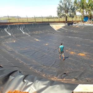 Quality 0.75mm Blue HDPE Geomembrane for Shrimp Pond and Fish Farming at Affordable Cost wholesale