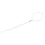 Endoscopic Polypectomy Cold Snare Disposable 15mm 25mm 35mm