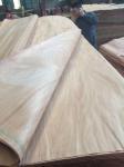 sell Dillenia face veneer