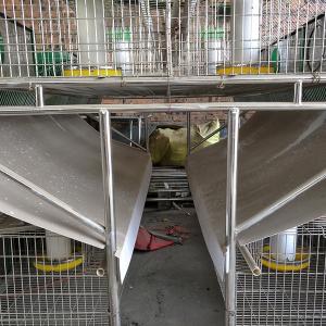 Quality Q235 Steel Wire Farm Rabbit Hutch For Commercial Farming wholesale