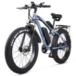 48V 1000W Motor Fat Tyre Electric Bicycles with 48V 17Ah Battery and Blue Screen