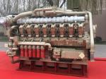 1800rpm Biogas Generator Set 1000 kW Natural Gas Generator