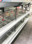 Poultry Broiler Cage Equipment Automatic H Type Broiler Cage