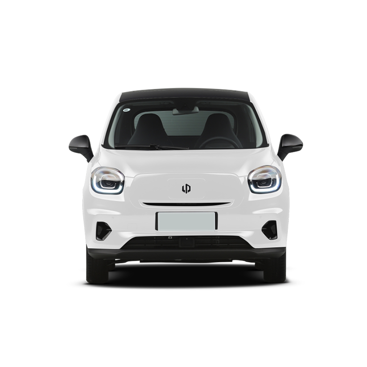 2023 Leapmotor FWD MINI EV Small-Sized Pure-Electricity Car with Single Motor and 4-Door 5-Seater SUV Body Structure