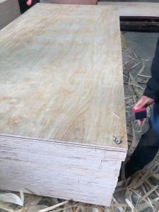 Quality Uv Pine Veneer Laminated Plywood, Cabinet Grade Pine Plywood, UV Coated Pine Face Veneer Panel for Furniture wholesale