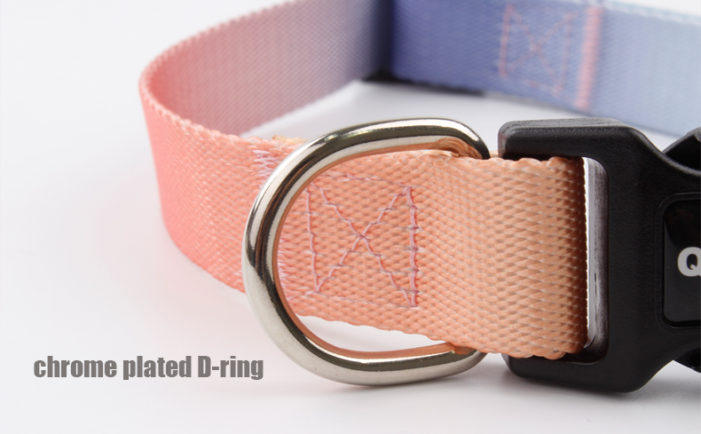 Dog Collar Luxury Gradient Adjustable Reversible Solid Custom Logo Designer Personalized