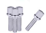 Custom Titanium Wheel Hub Bolt Nut GR5 / Ti6al4v DIN GB ASME ISO Standard