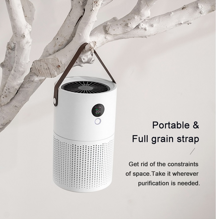 HOMEFISH Smoke Pm2.5 Negative Ion Desktop Cleaner Air Purifier