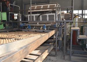 Quality Paper Egg Carton / Tray Making Machine , Durable Fruit Tray Making Machine wholesale