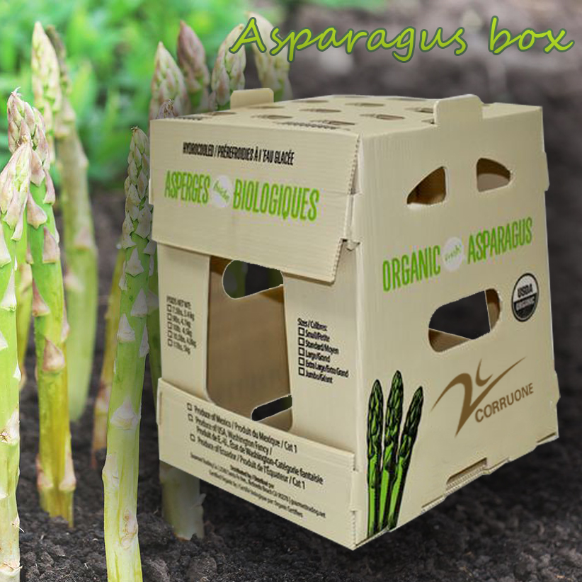 Correx Fruit Corrugated Boxes Custom Corrugated Plastic Boxes For Corn