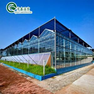 Quality Large Glass Covered Garden Greenhouses for Versatile Planting Options wholesale
