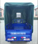 Gas Adult 300kg 12V 18A Cargo Tricycle Motorcycle