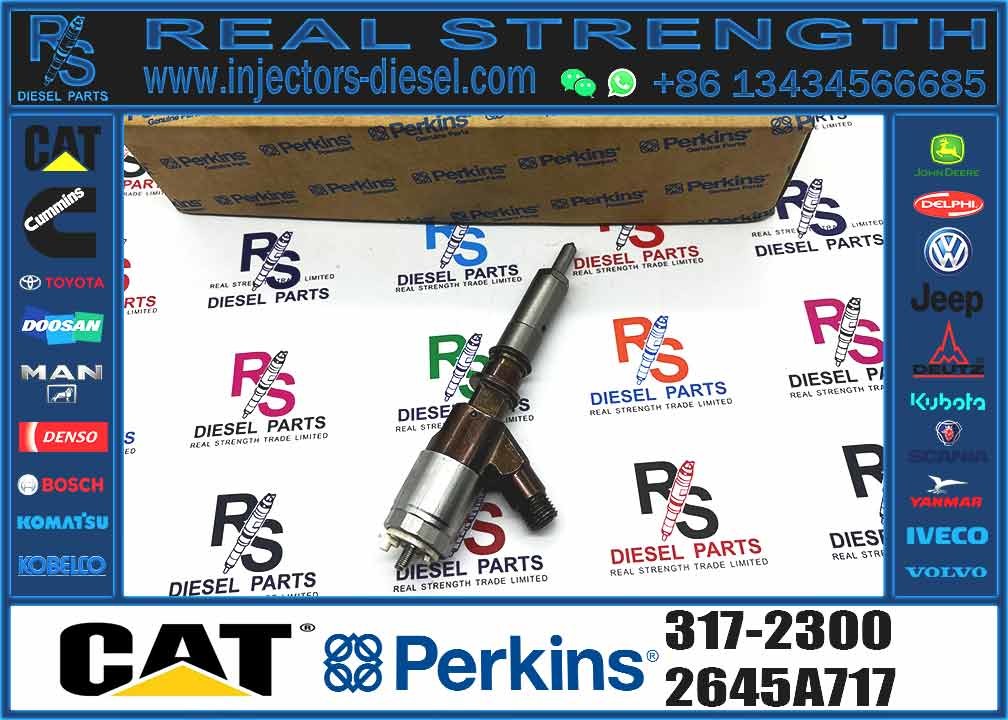 Cat 320d Diesel Inyector Common Rail Fuel Injector 3172300 317-2300 2645A717 for CATERPILLAR C6.4 C6.6 Excavator