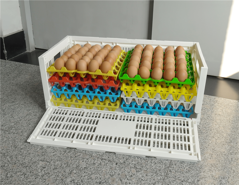 Chicken Transport and Egg Storage Collapsible Plastic Crate with Storange Function