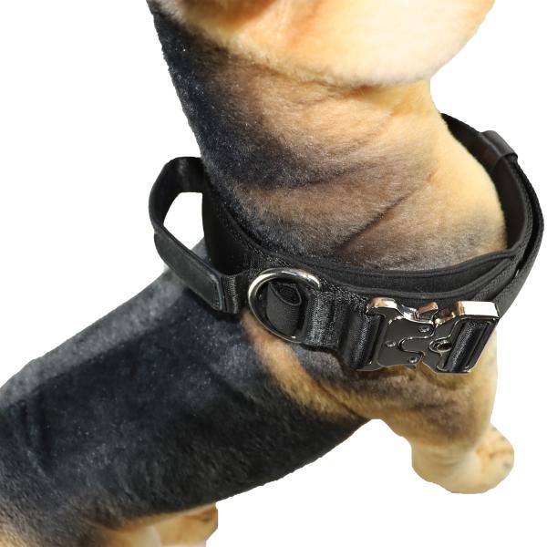 40 Inch 32 Inch Cute Dog Collars 30cm 75cm X Xs Xl Personalized Dog Collar