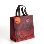 Promotion Non Woven Fabric Gift Bag Folding Laminated Custom Logo