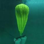 250kg Commerical Underwater Lift Bags Inflatable Marine Salvage Lifting Bags