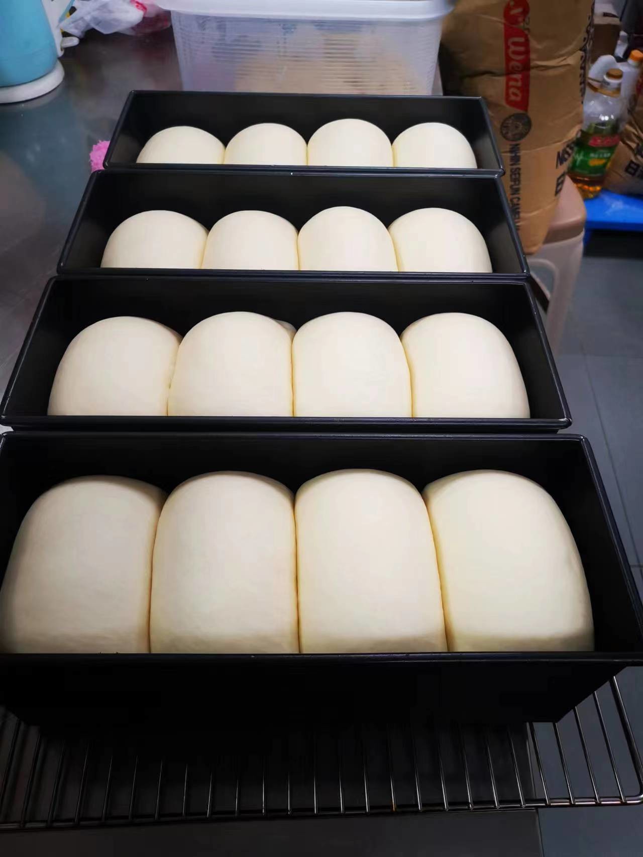 Yasur 40 Trays Reach In Type Pizza Dough Proofer 40X60cm 2kw Air Wash Type Steamer Generator