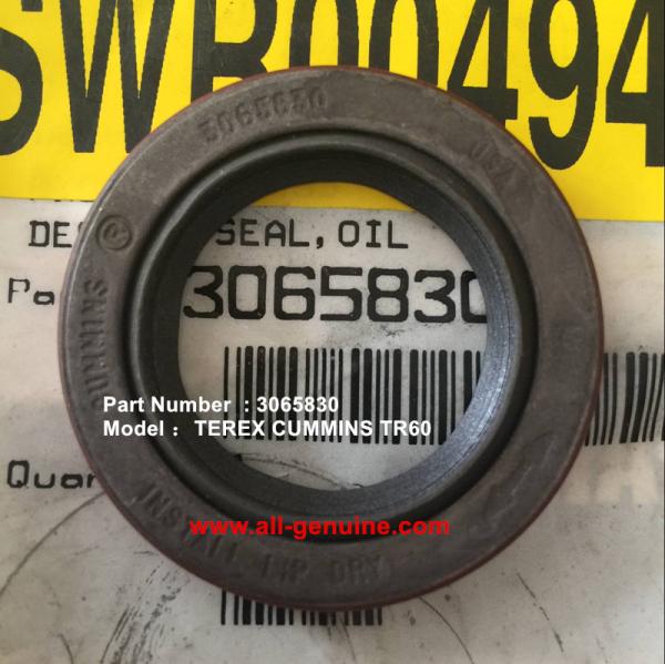 CUMMINS ENGINE TEREX 3065830 SEAL OIL NHL DUMP TRUCK MINING QUARRY TR45 TR50