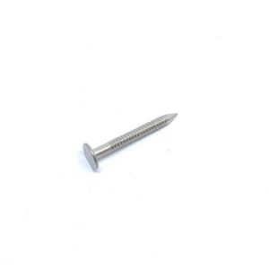 Quality Flat Head Type Stainless Steel Ring Shank Roofing Nails For Wooden Project wholesale