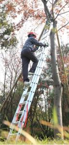 Quality En131 10.58m 3x15 Multipurpose Aluminium Foldable Ladder wholesale