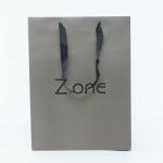 Carrier Art Kraft Coated Paper Shopping Bag For Clothes Apparel Gift