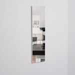 Wall Mounted Full Body Frameless Makeup Mirror 3mm Thick