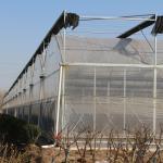 Polyethylene Film Multi Span Greenhouse Agricultural Commercial Industrial