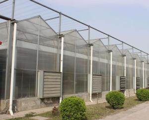 Quality Multi Span Polycarbonate Greenhouse wholesale