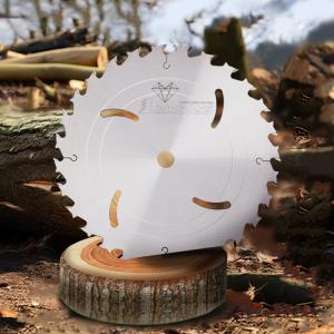 Quality Industrial Grade Without Rakers TCT Circular Saw Blades For Long Fibre Wood wholesale