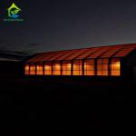 PE Film 220V Auto Light Dep Greenhouse 100% Blackout High Tunnel Greenhouse
