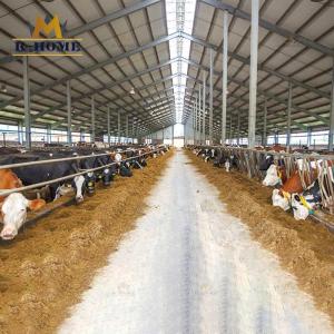 Quality Q345B Prefabricated Steel Structure Poultry Shed Hot DIP Galvanized wholesale
