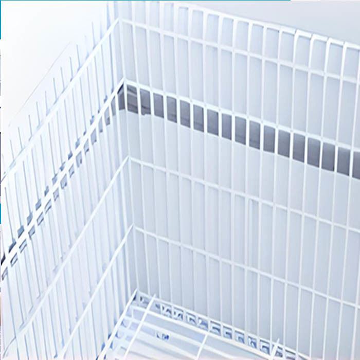 Supermarket Island Deep Freezer