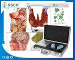 Hunter 4025 NLS 8d lris nls bioresonance NLS
