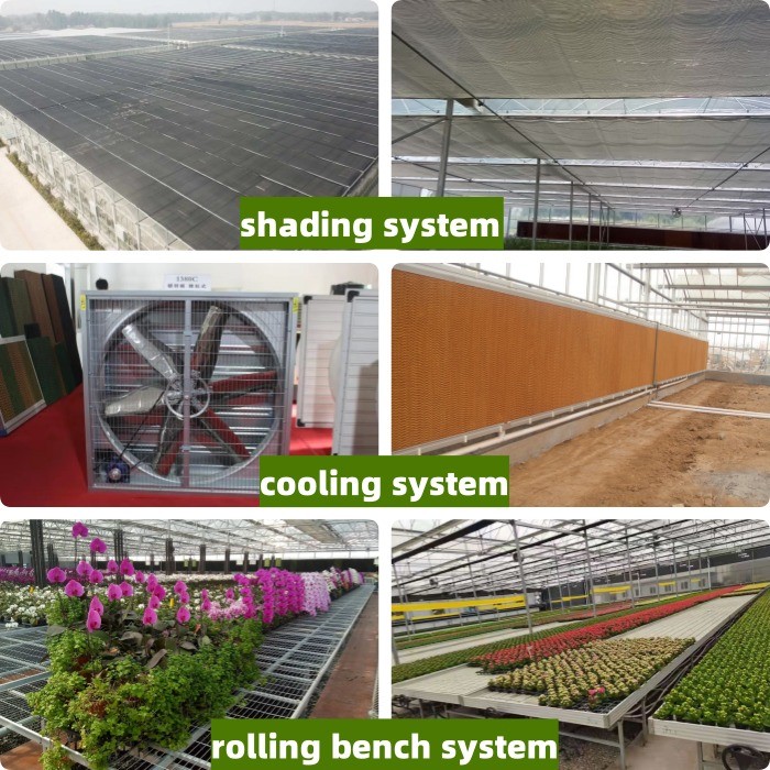 9.6m Span Venlo Pc Sheet Greenhouse Galvanized Steel Framework Green House Used For Agricuture