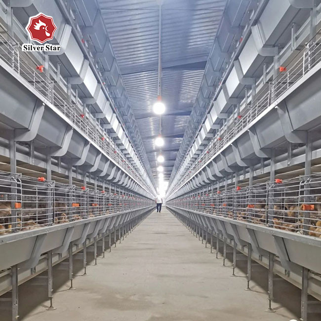 H Frame 4 Tiers Meat Chicken Broiler Cage 136 birds