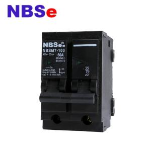 Quality 100A Plug Fuse Circuit Breaker wholesale