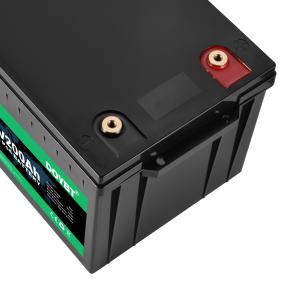 Quality Rv Lifepo4 Battery Pack 24v 100ah 200ah 12v 100a wholesale