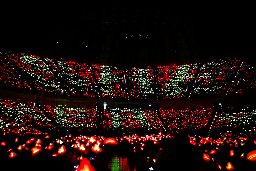 Concert Cheering LED Glow Sticks , Personalized Light Up Foam Sticks
