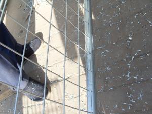 Quality Temporary Fencing TAS area for sale hot dipped galvanized temporary fenicng site fencing 2100mm*3300mm MAX temp fence wholesale