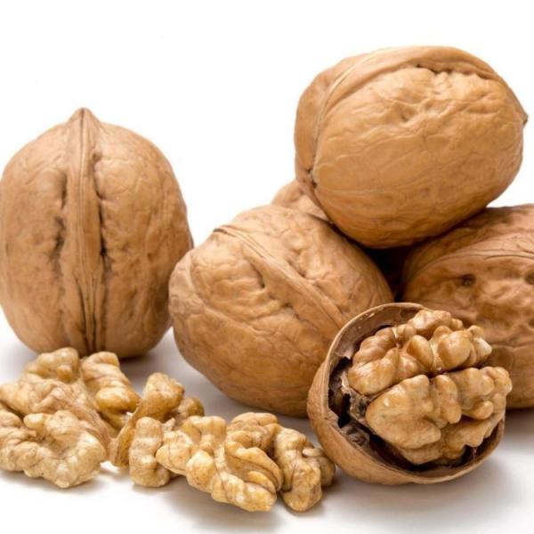 Special Discount Cheapest Price Walnut Inshell Xinjiang Manufacturer Paper