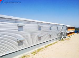 Quality Customized Automatic Chicken House Steel Structure Poultry Farming House wholesale