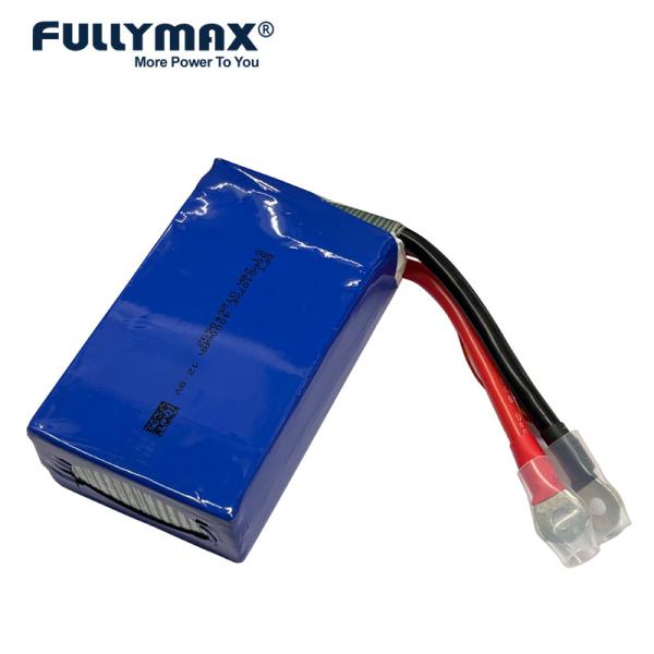 Lithium Polymer Lipo Battery 12v 10000mah 12.8V 45C 1000A Jump Starter Battery