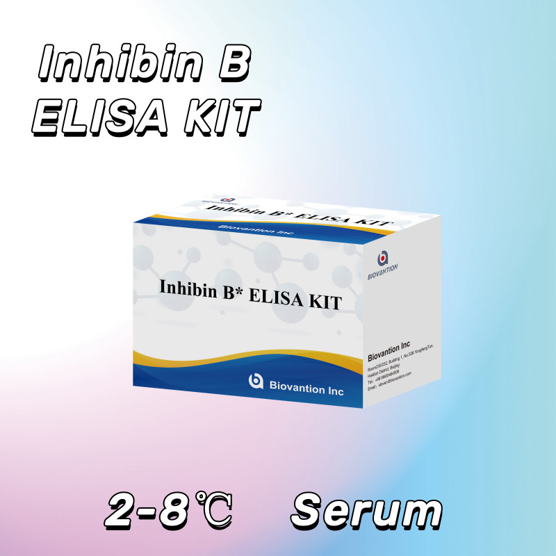 Biovantion Inhibin B Elisa Test Kit for human diagnosis with 96T