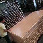 Commercial E2 Glue Moisture 6% Melamine Faced Plywood