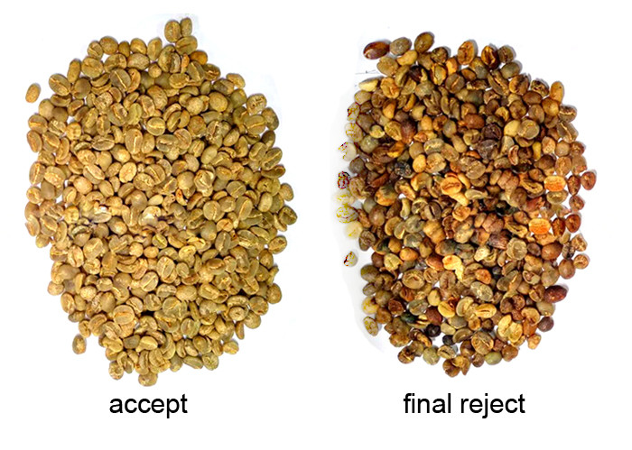 Electronic Control Coffee Beans Sorting Machine 1.2Tons/h~1.5Tons/h