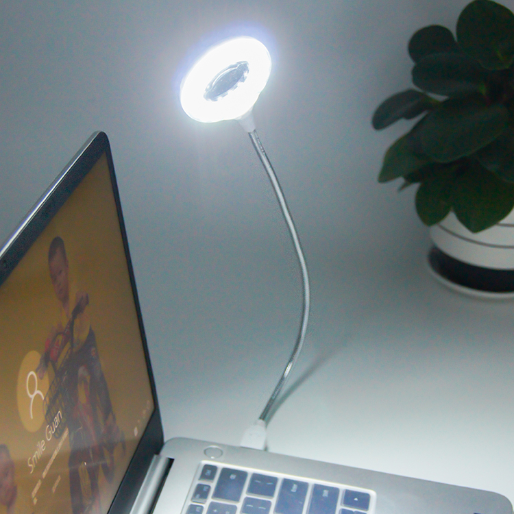 Desk LED Light Gooseneck Flexible White Light Strips 27cm
