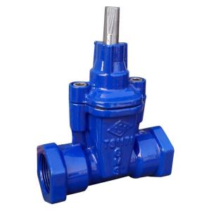 Quality Ductile Iron Non Rising Stem Gate Valve Blue Screwed Ends Gate Valve wholesale